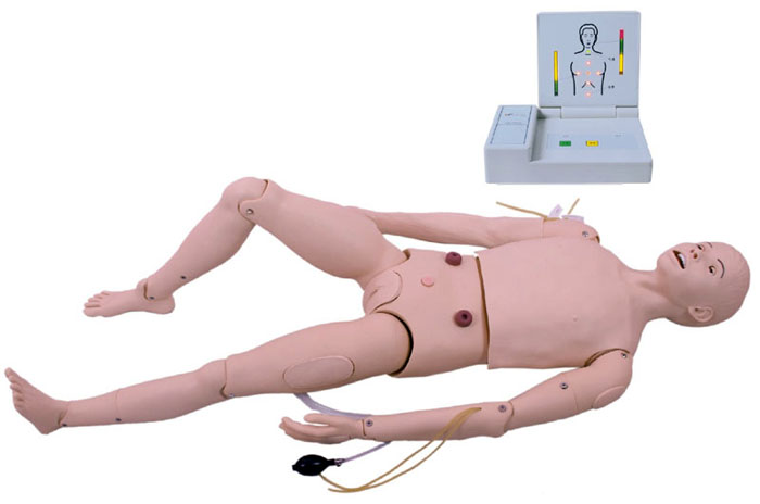 心肺復蘇帶灌腸導尿模型